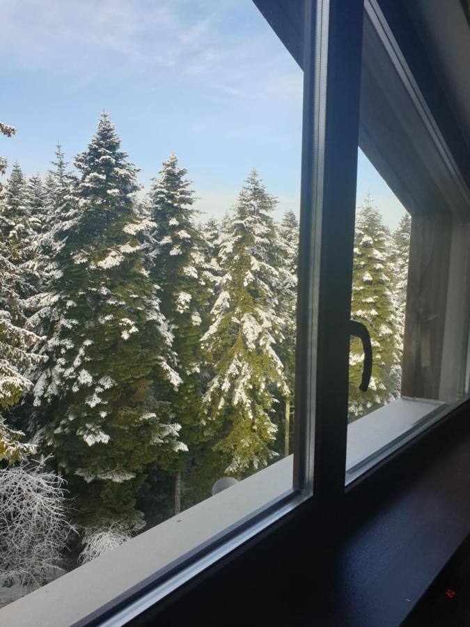 Borovets Forest View Ngoại thất bức ảnh