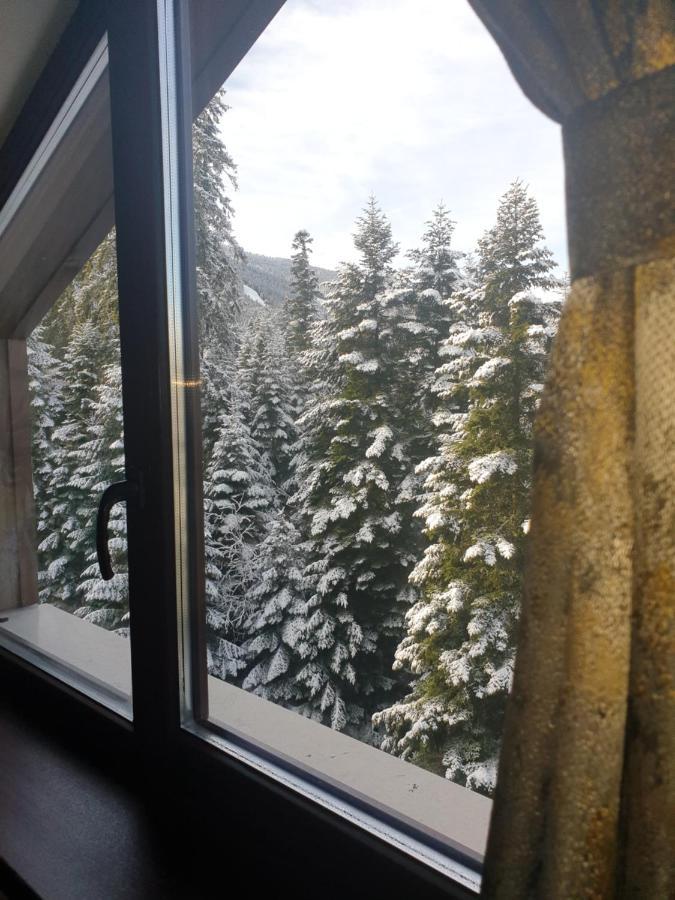 Borovets Forest View Ngoại thất bức ảnh